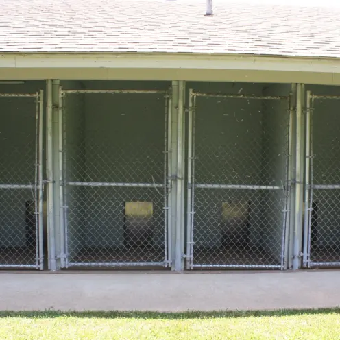 Westridge Animal Hospital Outdoor Kennel